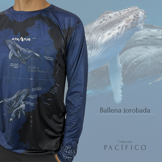 Camibuso Ballena Jorobada - Hombre