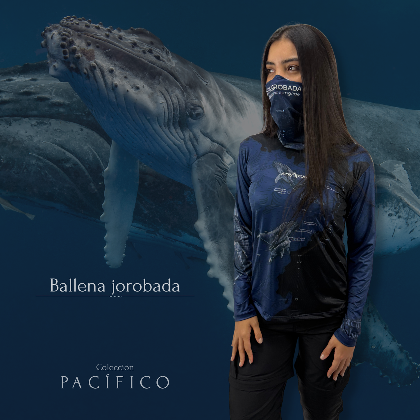 Cuellito Ballena Jorobada - PACÍFICO