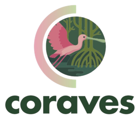 Coraves