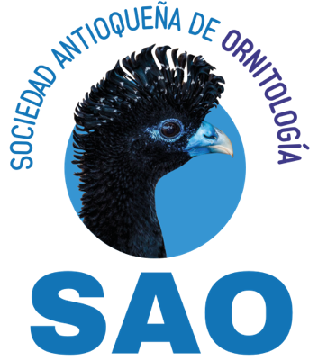 SAO