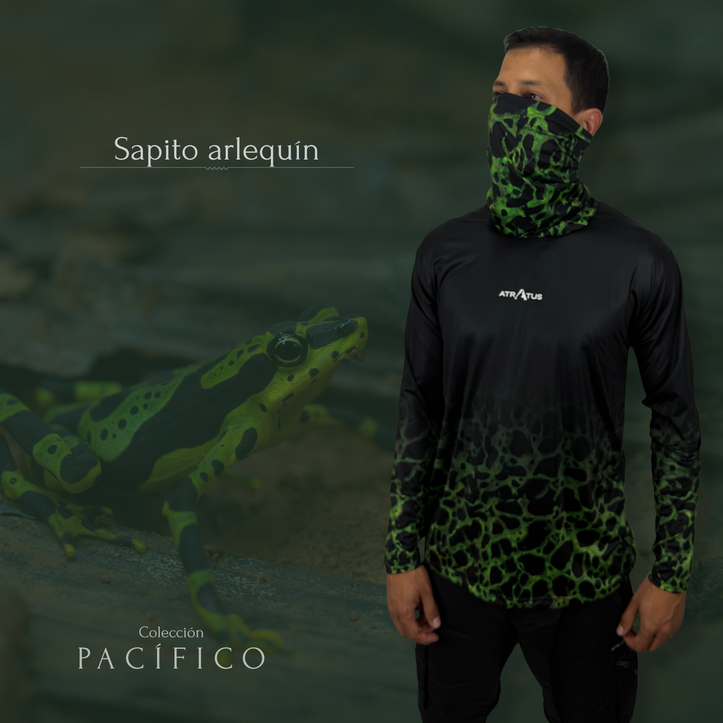 Cuellito Sapito Arlequín - PACÍFICO