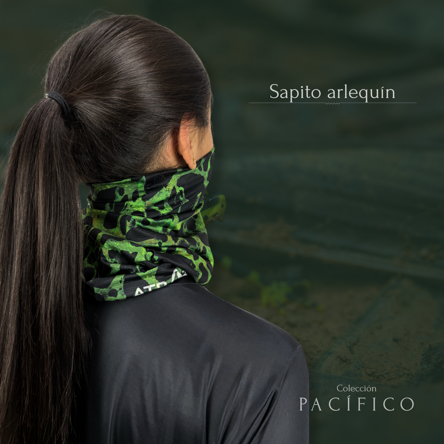 Cuellito Sapito Arlequín - PACÍFICO