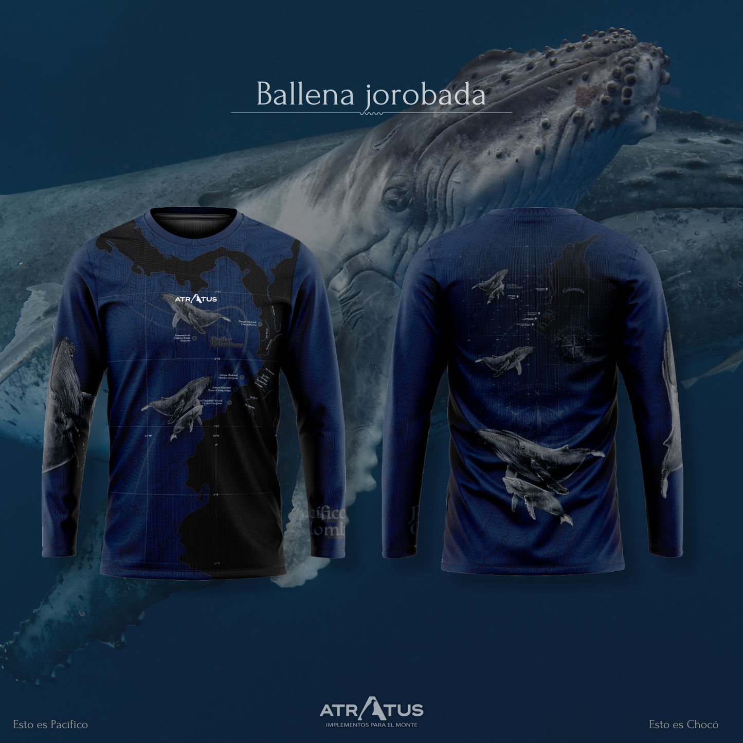 Camibuso Ballena Jorobada - Mujer