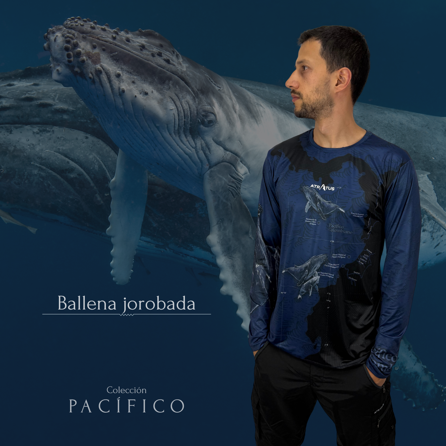 Camibuso Ballena Jorobada - Hombre