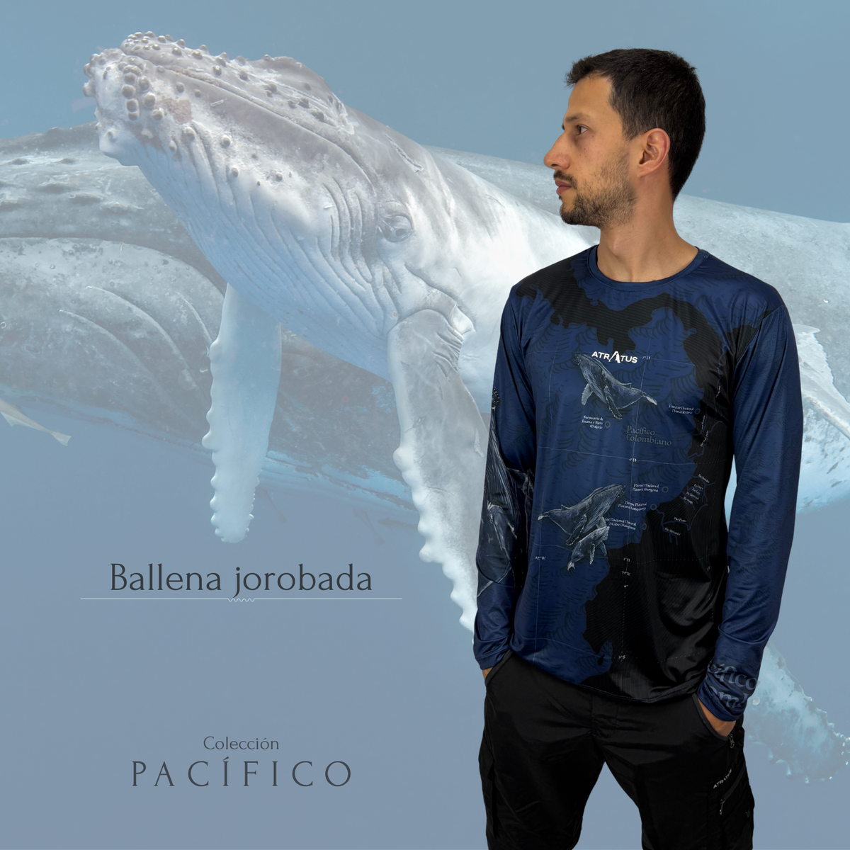 Camibuso Ballena Jorobada - Hombre