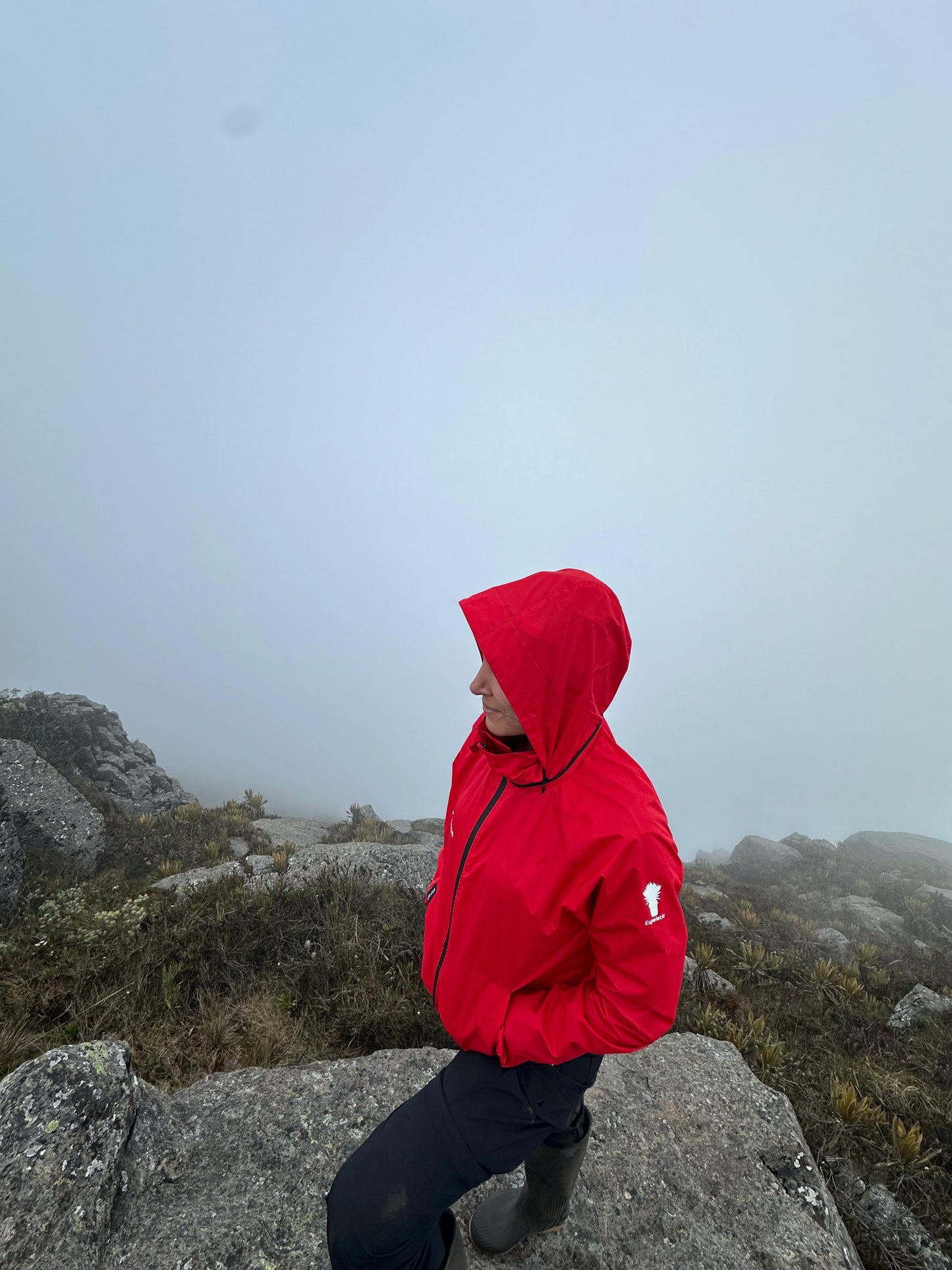 Chaqueta Espeletia - Rojo Unisex