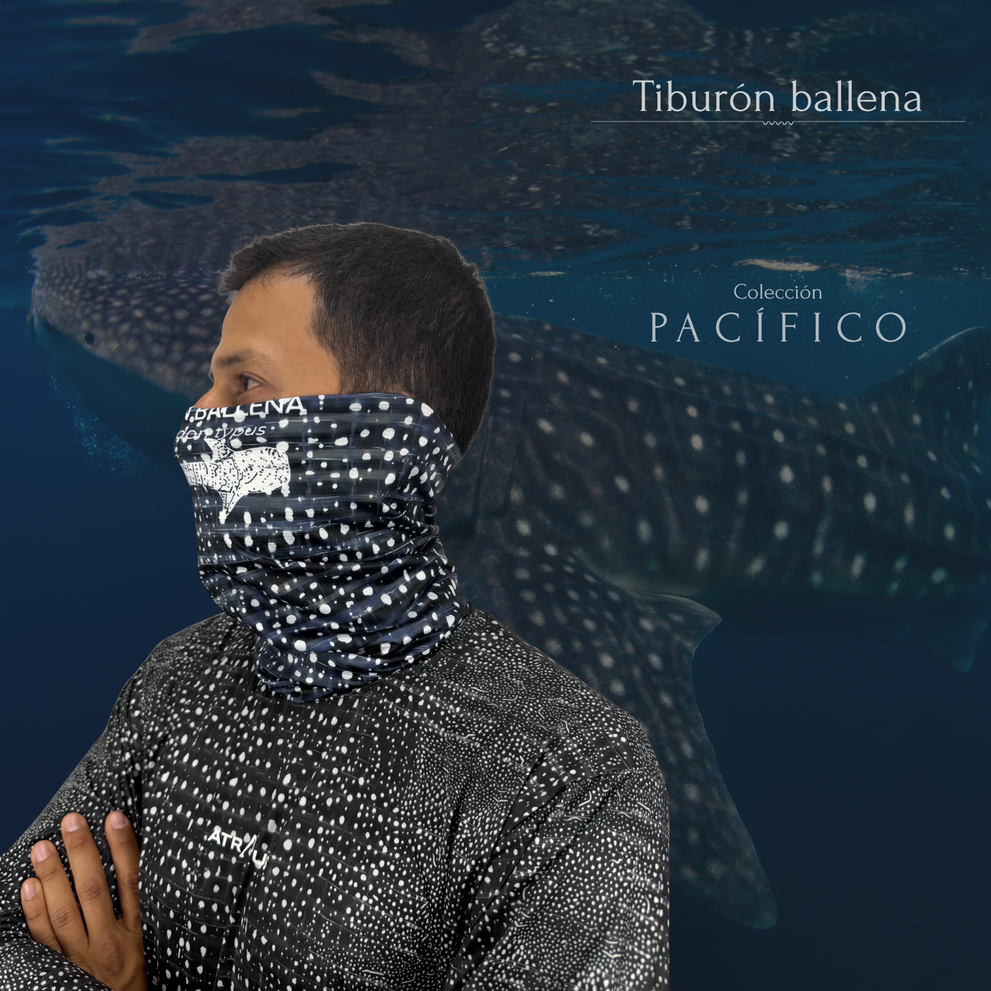 Cuellito Tiburón Ballena - PACÍFICO