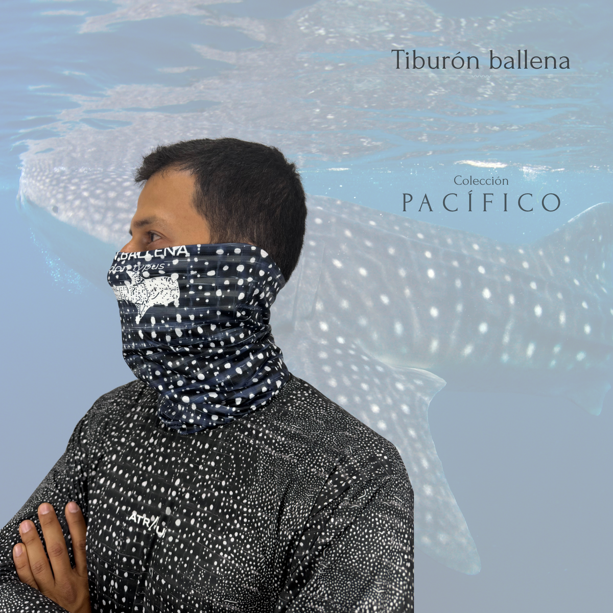 Cuellito Tiburón Ballena - PACÍFICO
