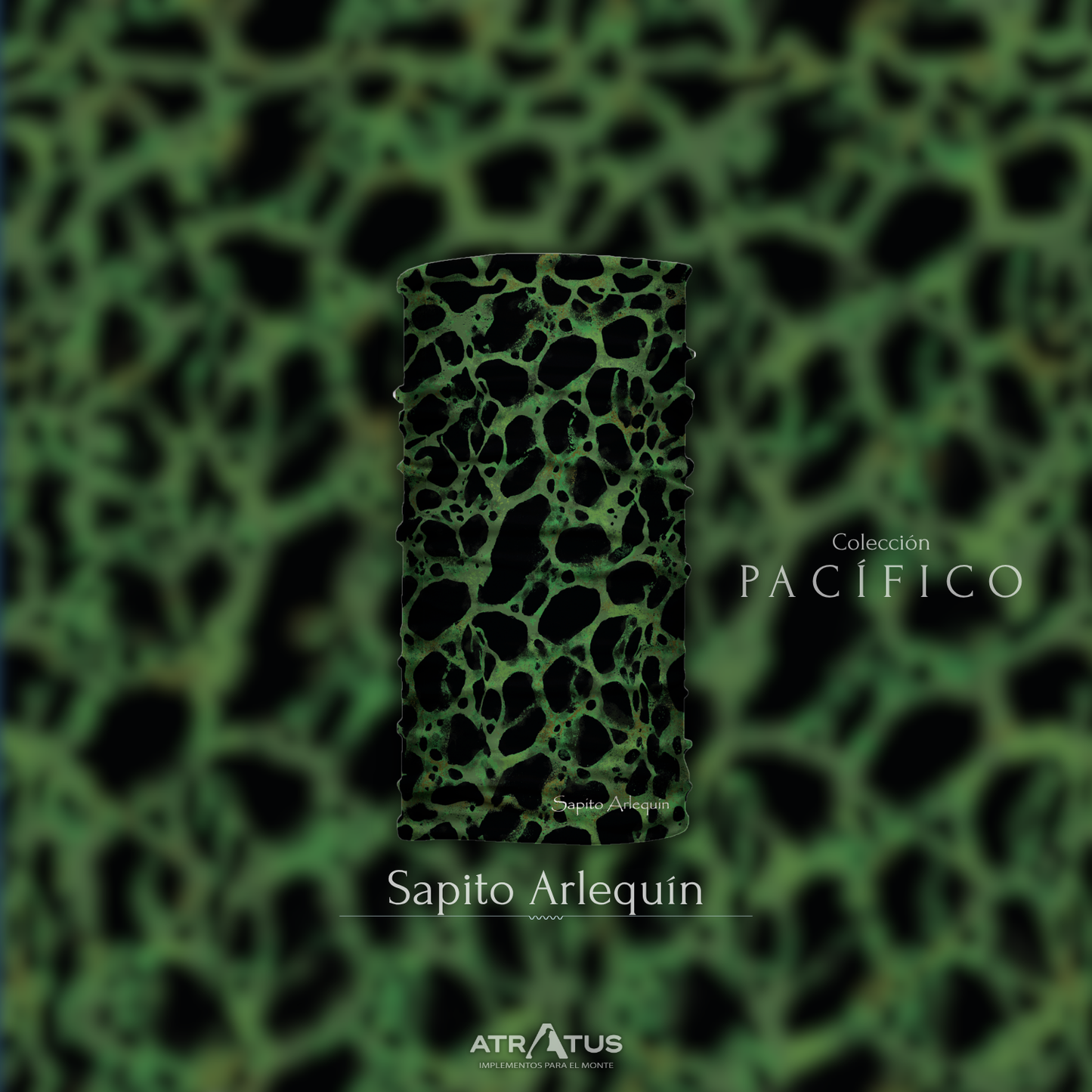 Cuellito Sapito Arlequín - PACÍFICO