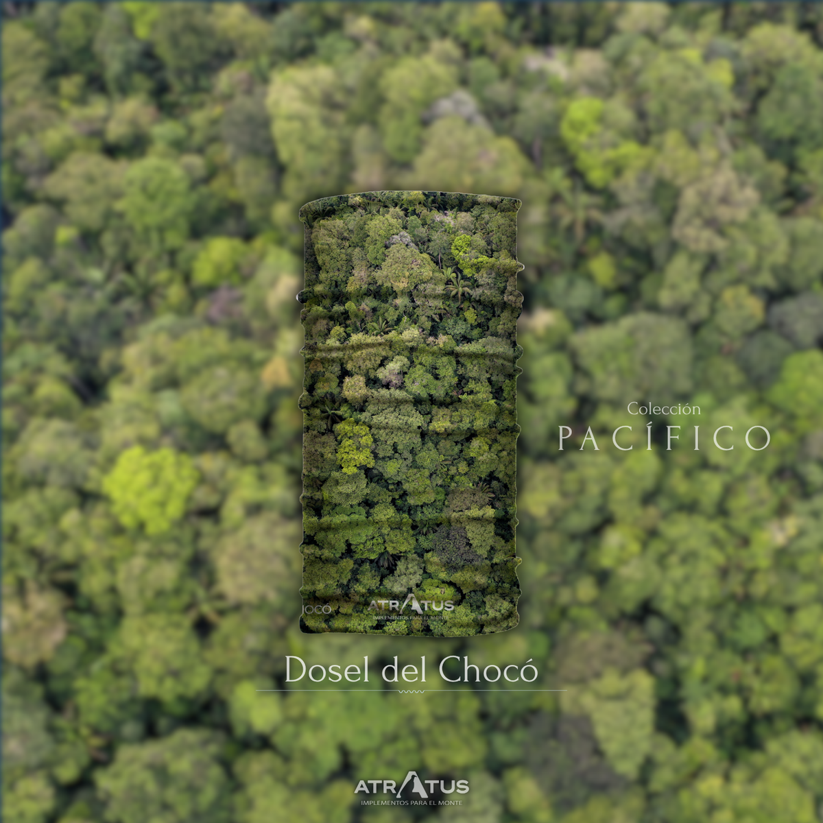 Cuellito Dosel del Chocó