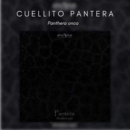 Cuellito manchas de Pantera