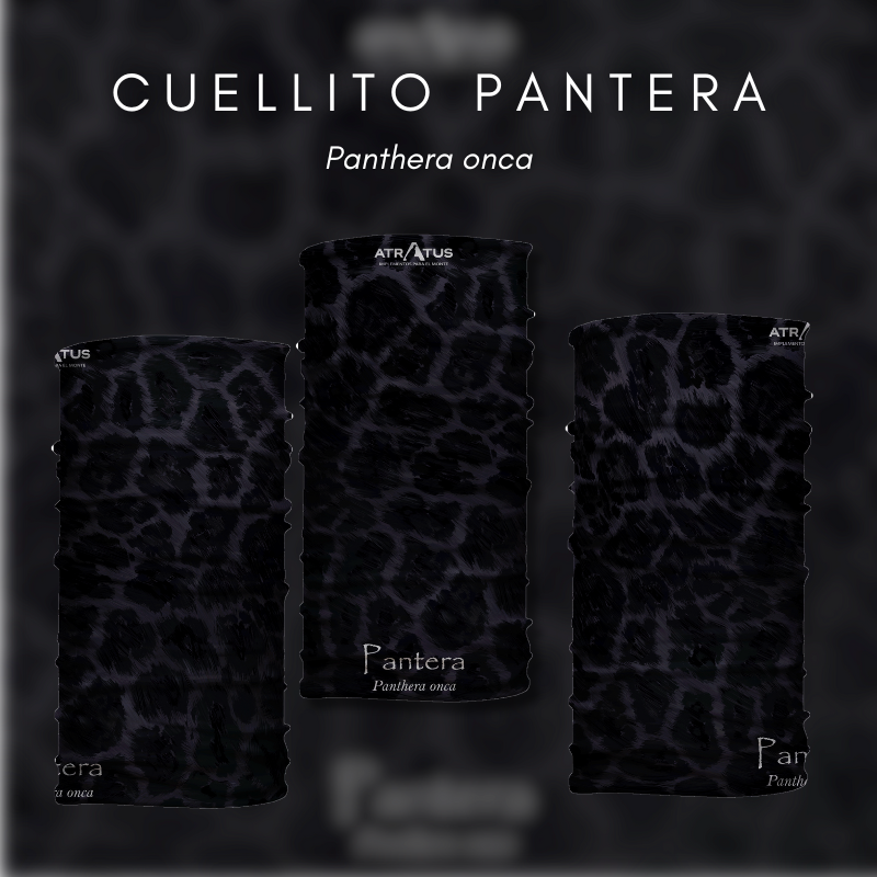 Cuellito manchas de Pantera
