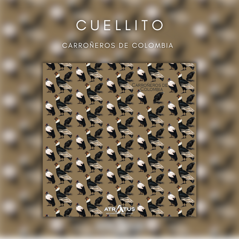 Cuellito Carroñeros de Colombia