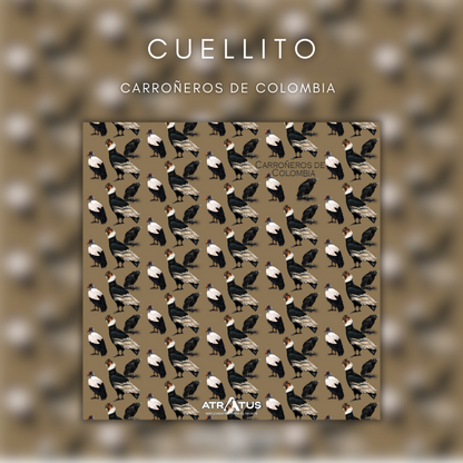 Cuellito Carroñeros de Colombia