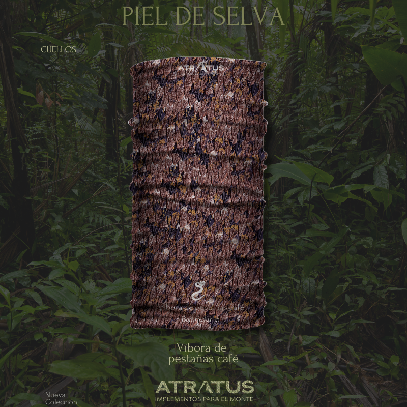 Cuellito Víbora de Pestañas Café — Piel de Selva
