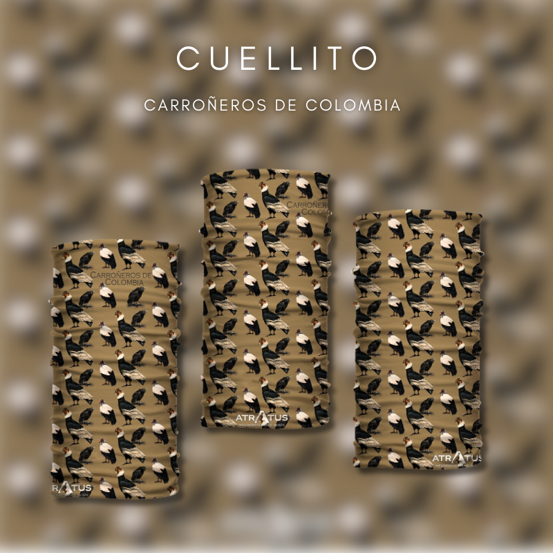 Cuellito Carroñeros de Colombia