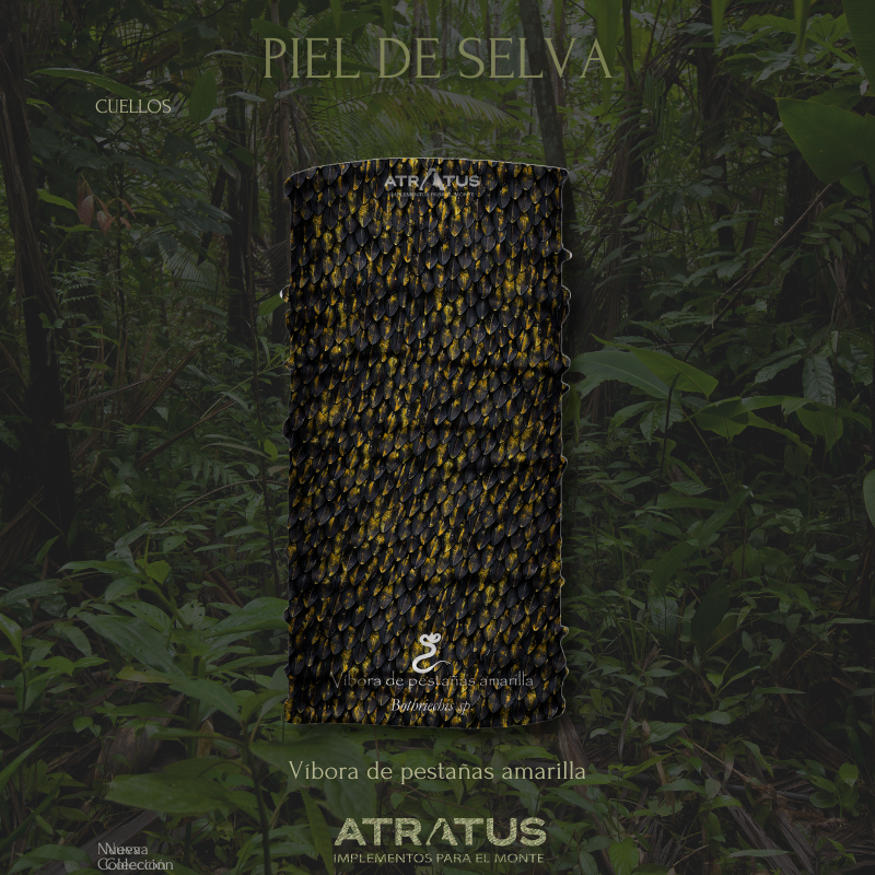Cuellito Víbora de Pestañas amarilla - Piel de Selva