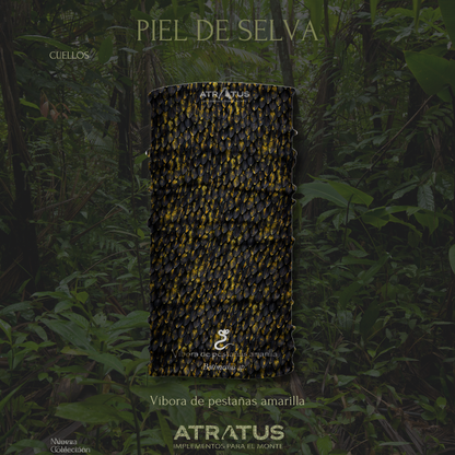 Cuellito Víbora de Pestañas amarilla - Piel de Selva