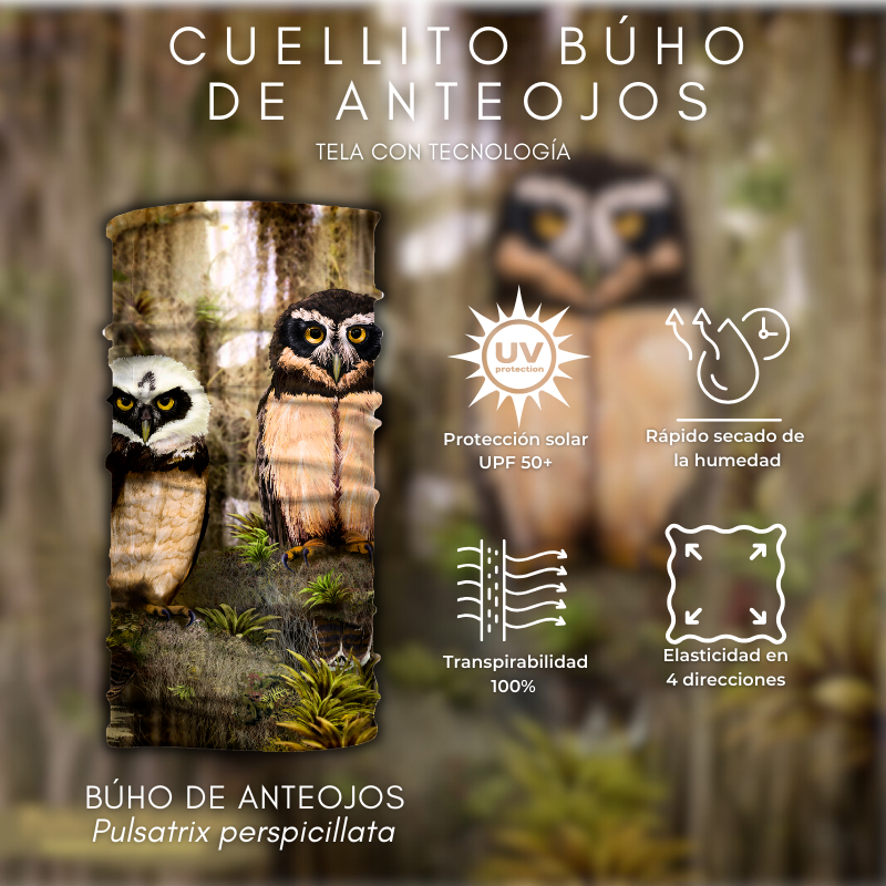 Cuellito Búho de Anteojos