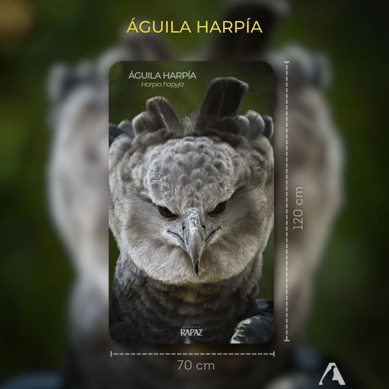 Toalla microfibra Águila Harpía