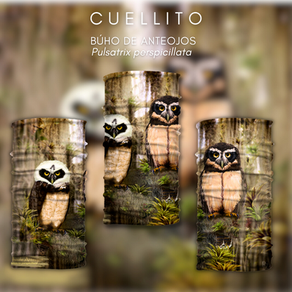 Cuellito Búho de Anteojos