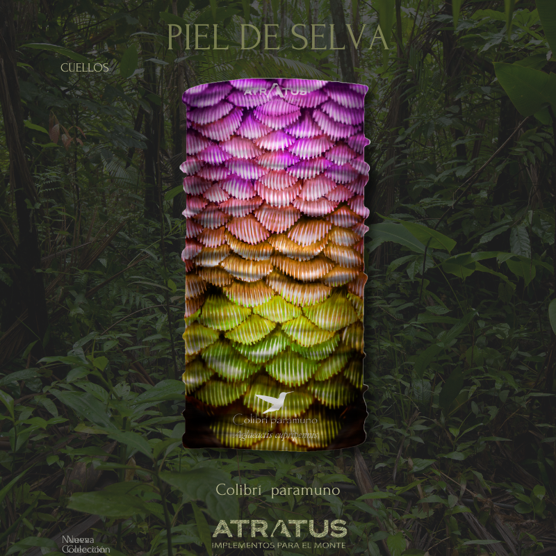 Cuellito Colibrí Paramuno — Piel de Selva