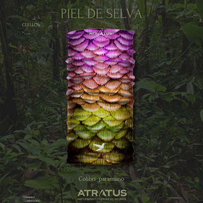 Cuellito Colibrí Paramuno — Piel de Selva