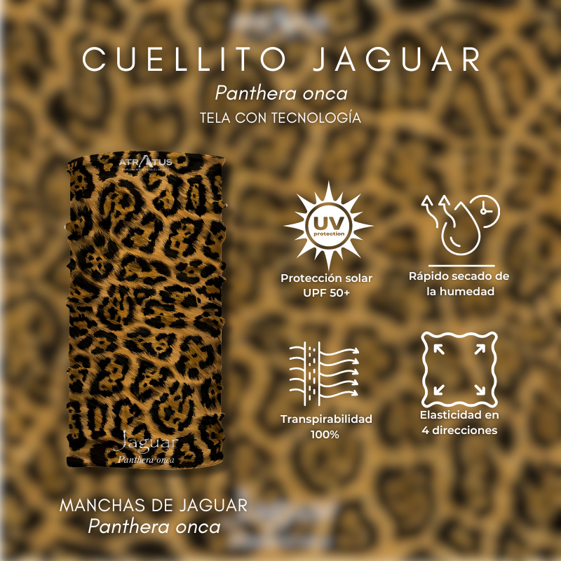 Cuellito manchas de Jaguar