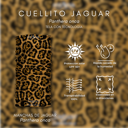 Cuellito manchas de Jaguar