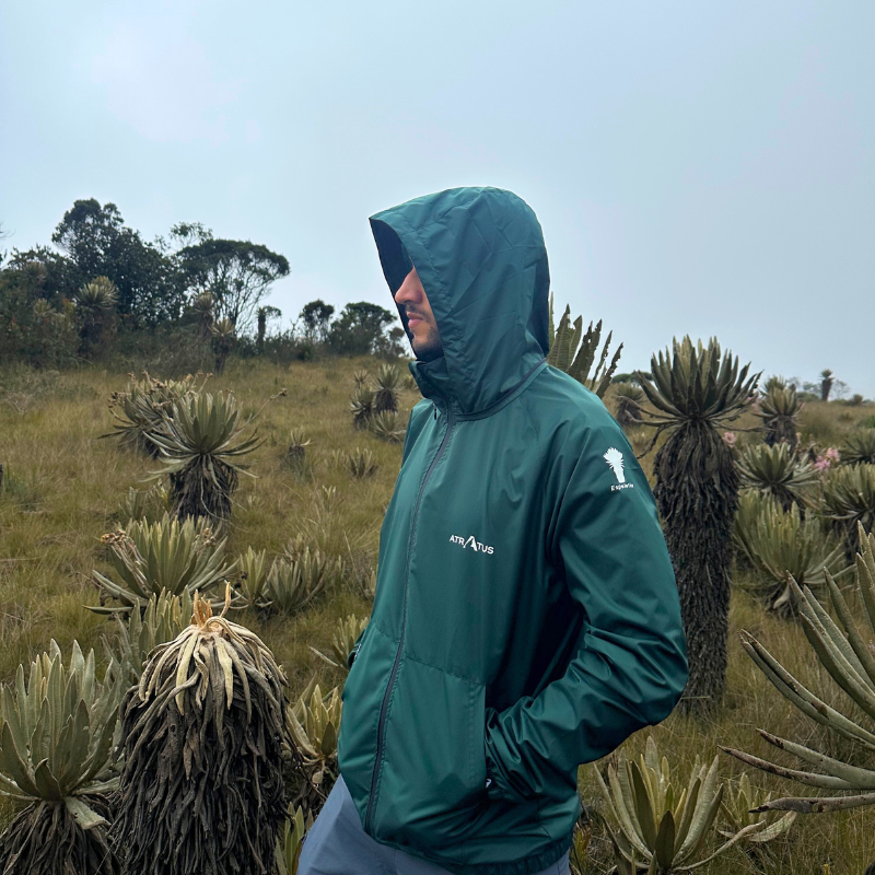 Chaqueta Espeletia - Seagreen Unisex