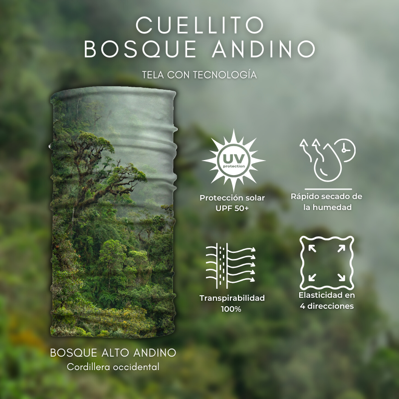 Cuellito Bosque Andino