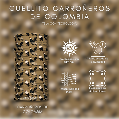 Cuellito Carroñeros de Colombia