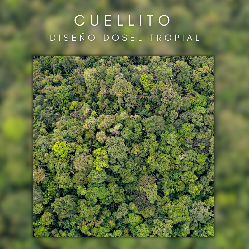 Cuellito Dosel