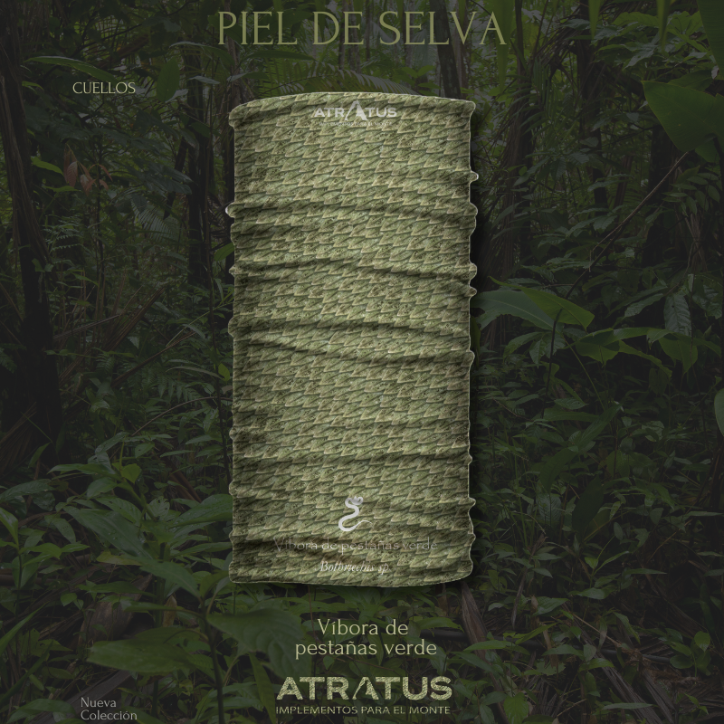 Cuellito Víbora de Pestañas Verde - Piel de Selva