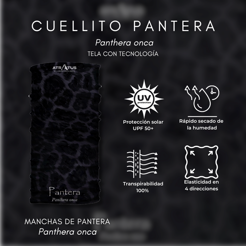 Cuellito manchas de Pantera