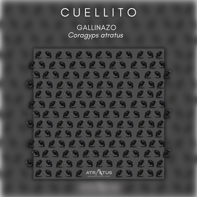 Cuellito El Negrito