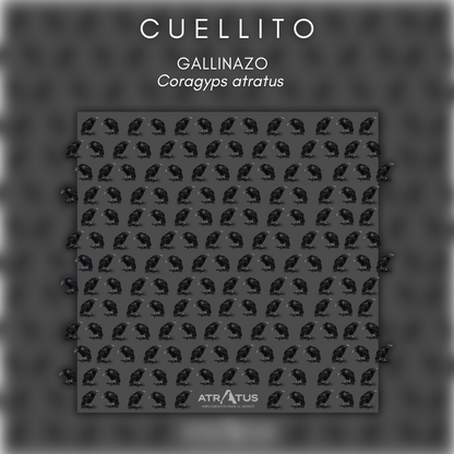 Cuellito El Negrito