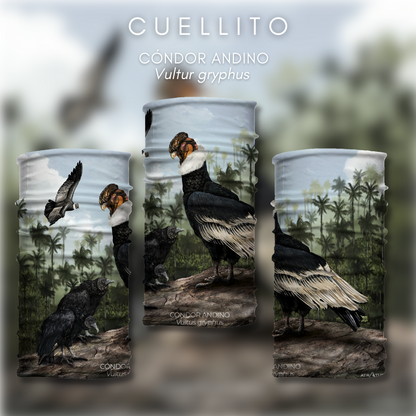 Cuellito Cóndor de los Andes