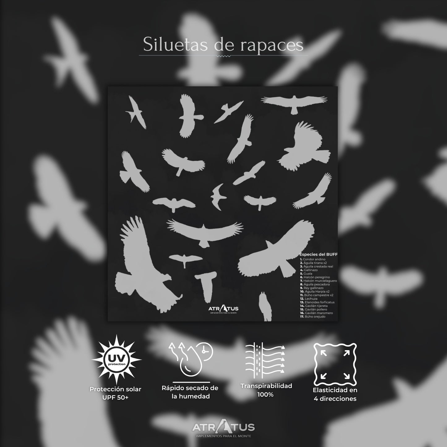 Cuellito Siluetas de Aves