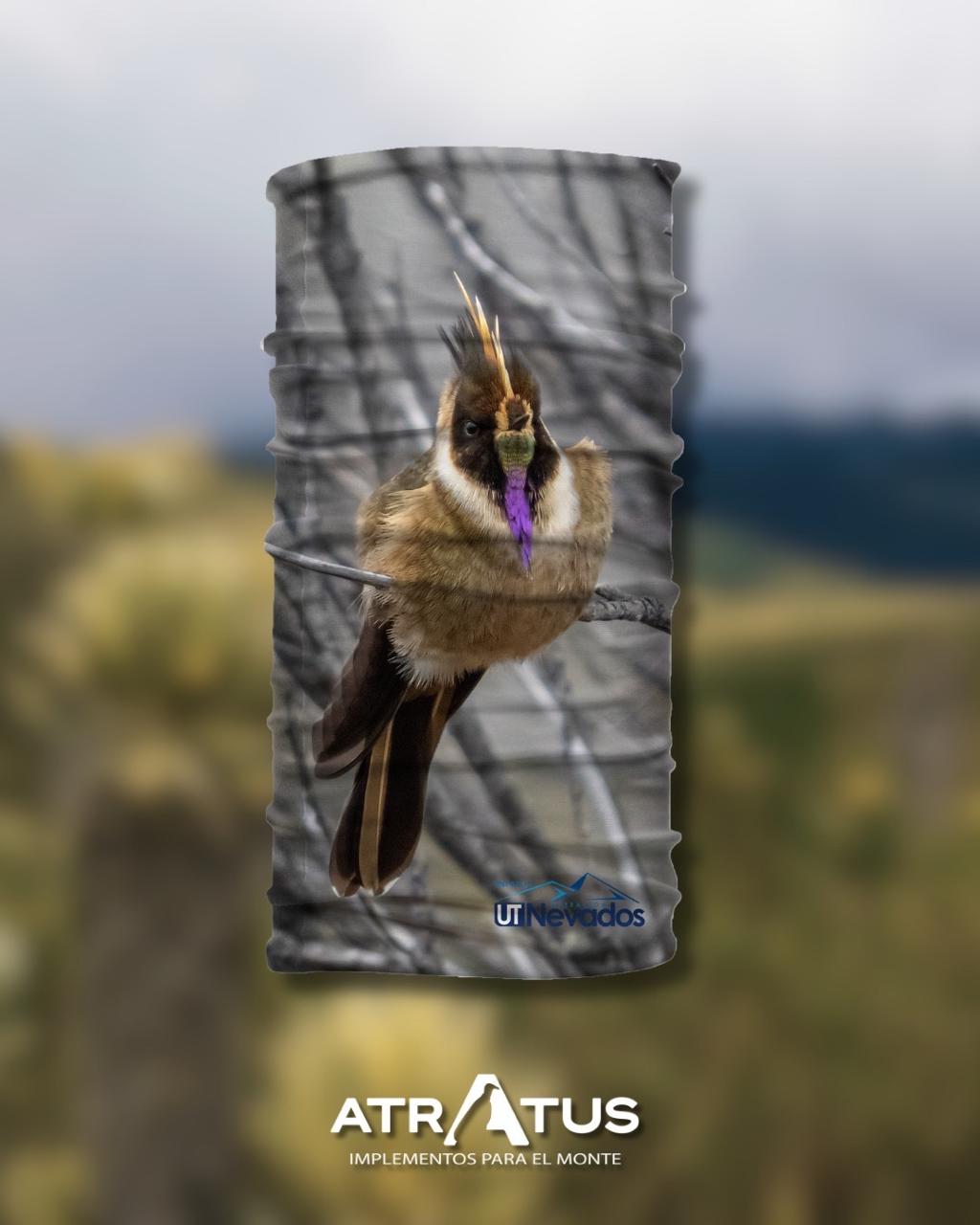 UT Nevados